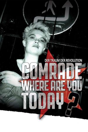 Comrade, Where Are You Today?'s poster