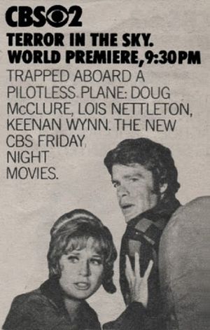 Terror in the Sky's poster