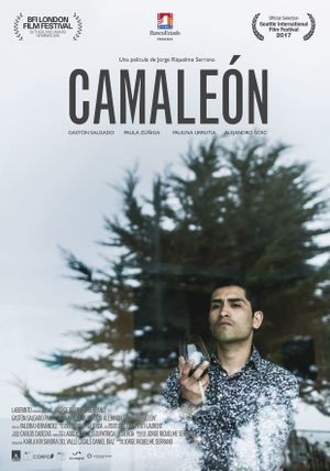 Chameleon's poster