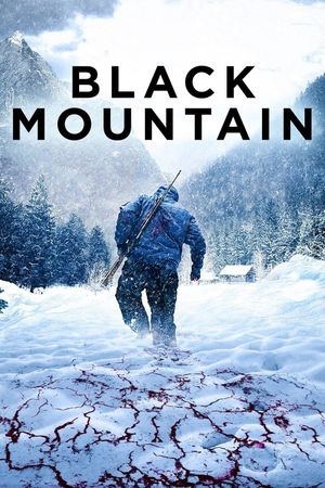 Black Mountain Side's poster