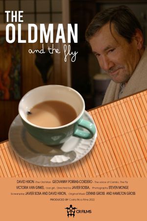 The Old Man and the Fly's poster image