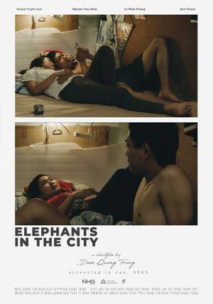 Elephants In The City's poster