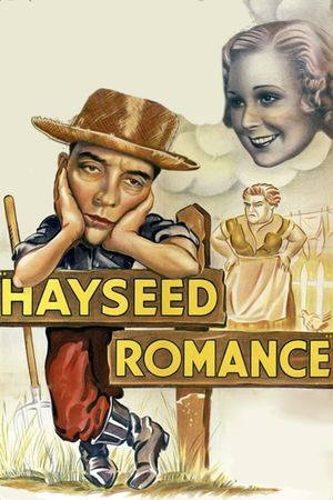 Hayseed Romance's poster