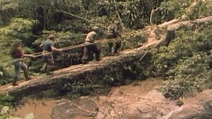 Os Heróis Trapalhões: Uma Aventura na Selva's poster