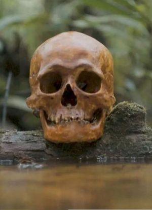 A Skull's poster image