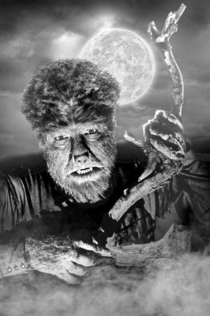 The Wolf Man's poster