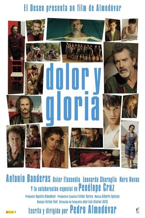 Pain and Glory's poster
