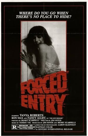 The Last Victim's poster