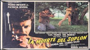 La muerte del soplon's poster