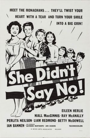 She Didn't Say No's poster