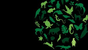 Born Wild: The Next Generation's poster