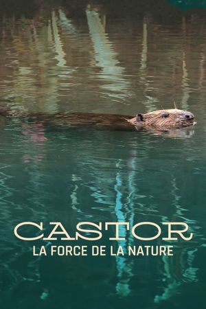 Castor, la force de la nature's poster