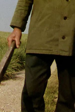 Le Vicinal's poster
