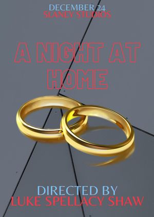 A Night at Home's poster