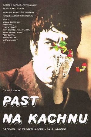 Past na kachnu's poster