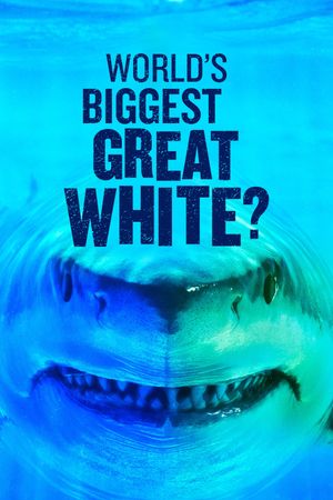 World's Biggest Great White?'s poster