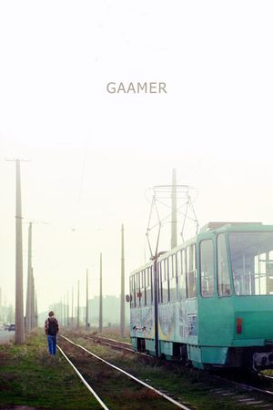 Gamer's poster image