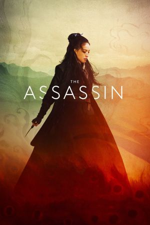 The Assassin's poster image
