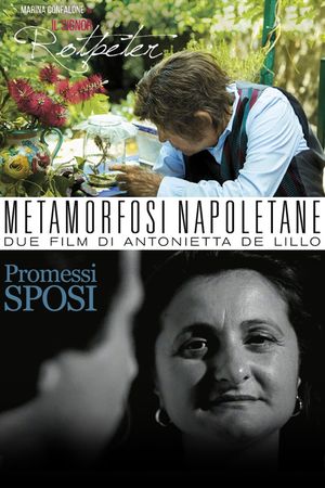 Metamorfosi Napoletane's poster