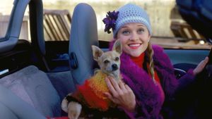Legally Blonde's poster