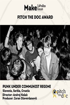 Punk Under Communist Regime's poster