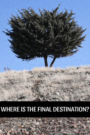 Where is the Final Destination?'s poster