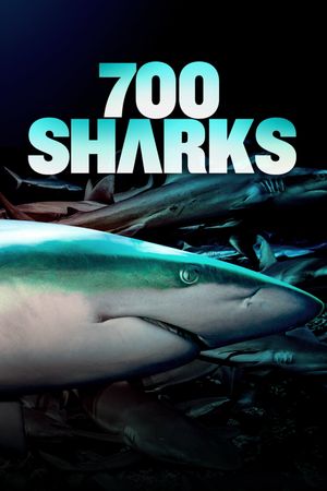 700 Sharks's poster
