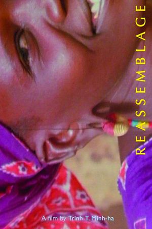 Reassemblage: From the Firelight to the Screen's poster