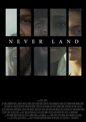 Never Land's poster image