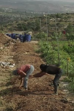 Untold Revolution: Food Sovereignty in Palestine's poster image