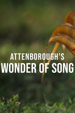 Attenborough's Wonder of Song's poster