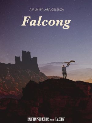 Falcong's poster