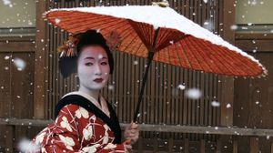 The Secret Life of Geisha's poster