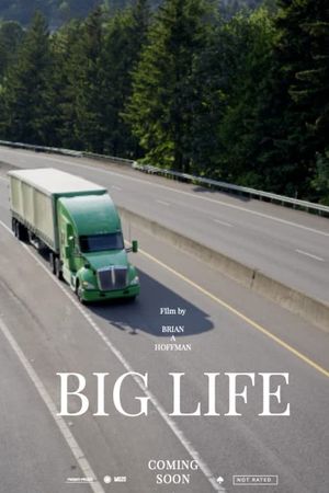 Big Life's poster