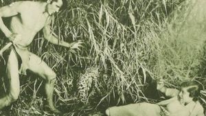 The New Adventures of Tarzan's poster