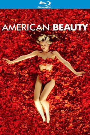 American Beauty's poster