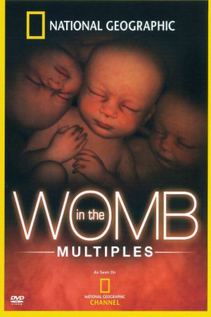 In the Womb: Multiples's poster