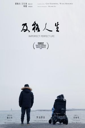 Imperfect Perfect Life's poster image