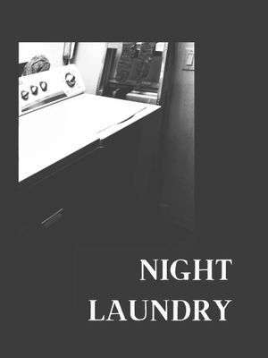 NIGHT LAUNDRY's poster