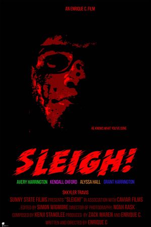 SLEIGH!'s poster