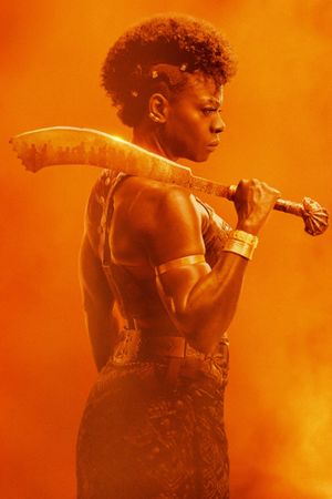 The Woman King's poster