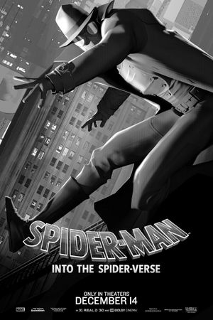 Spider-Man: Into the Spider-Verse's poster