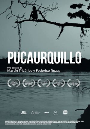 Pucaurquillo's poster