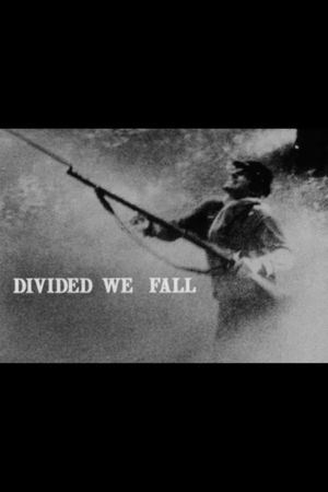 Divided We Fall's poster