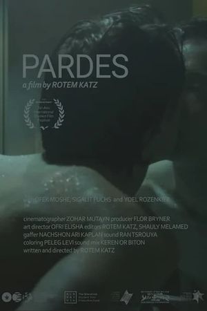 Pardes's poster