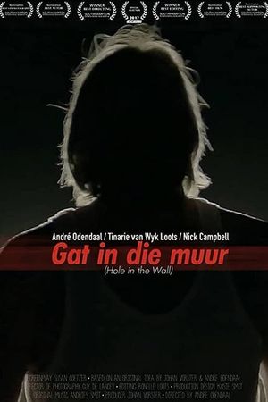 Hole in the Wall's poster
