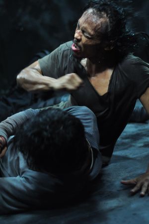 The Raid: Redemption's poster