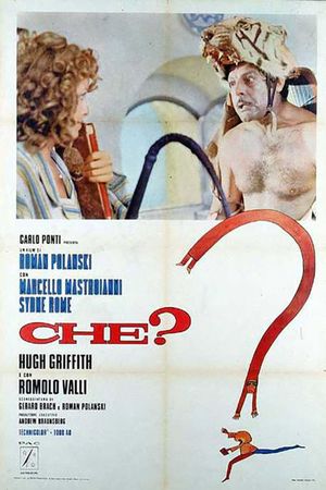 What?'s poster