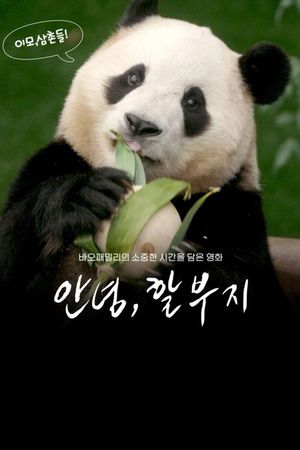My Dearest Fu Bao's poster