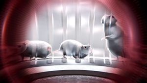 One Rat short's poster